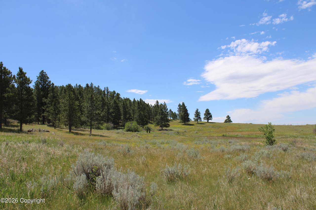 500 Mason Creek - Photo 1