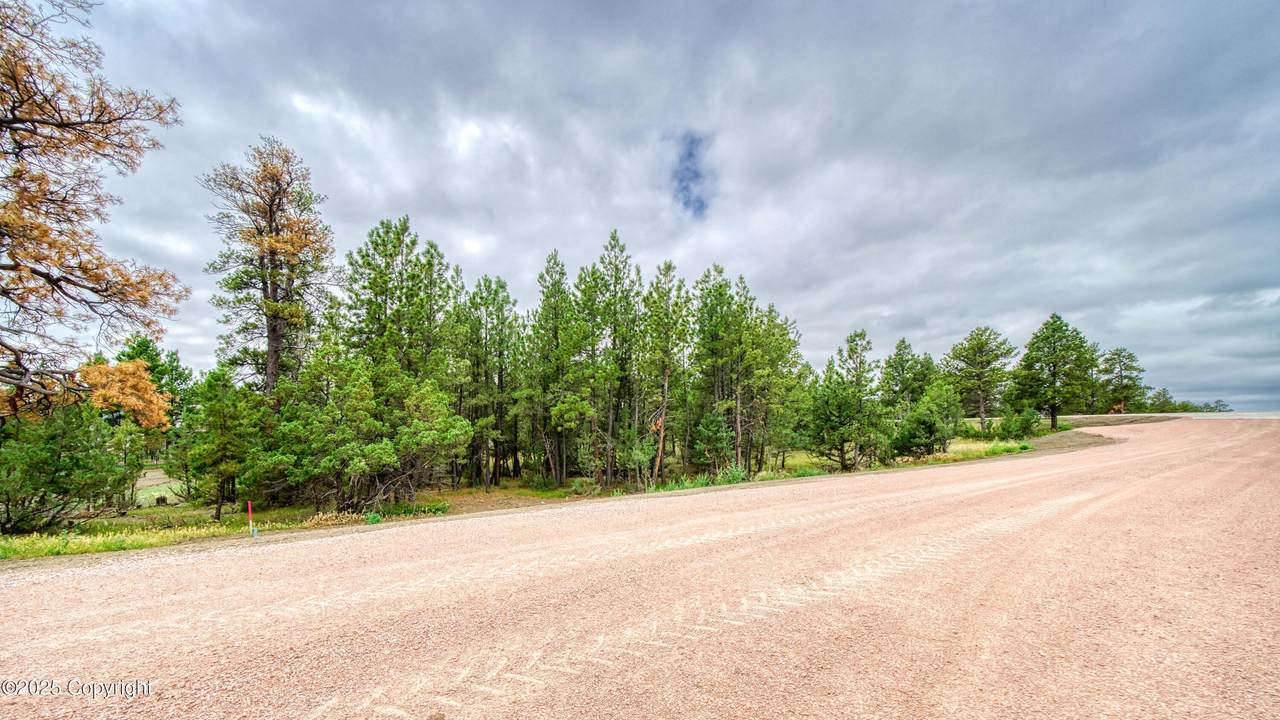 4 Freedom Drive - Photo 1