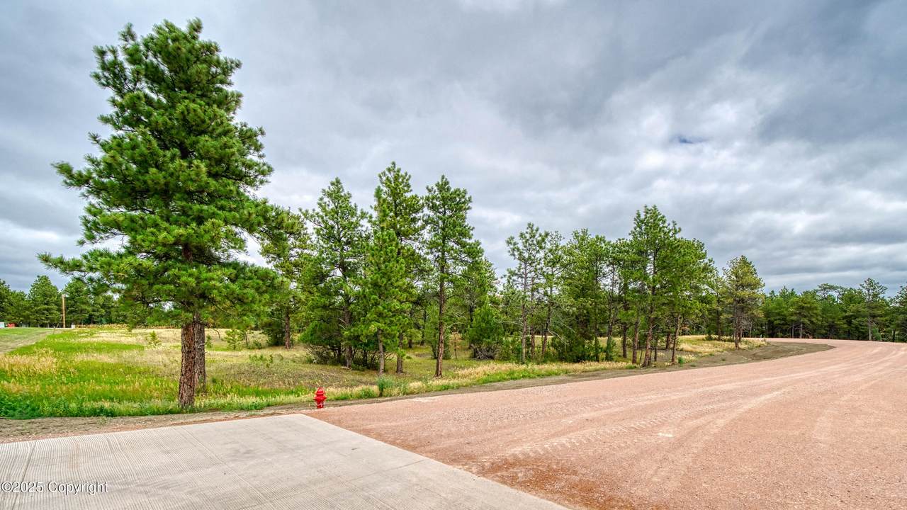 5 Freedom Drive - Photo 1