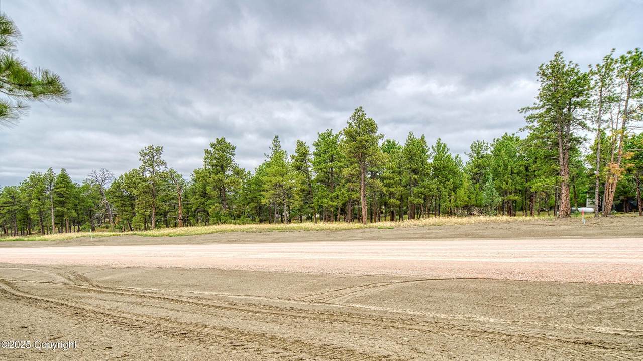 7 Pine Crest Drive - Photo 1