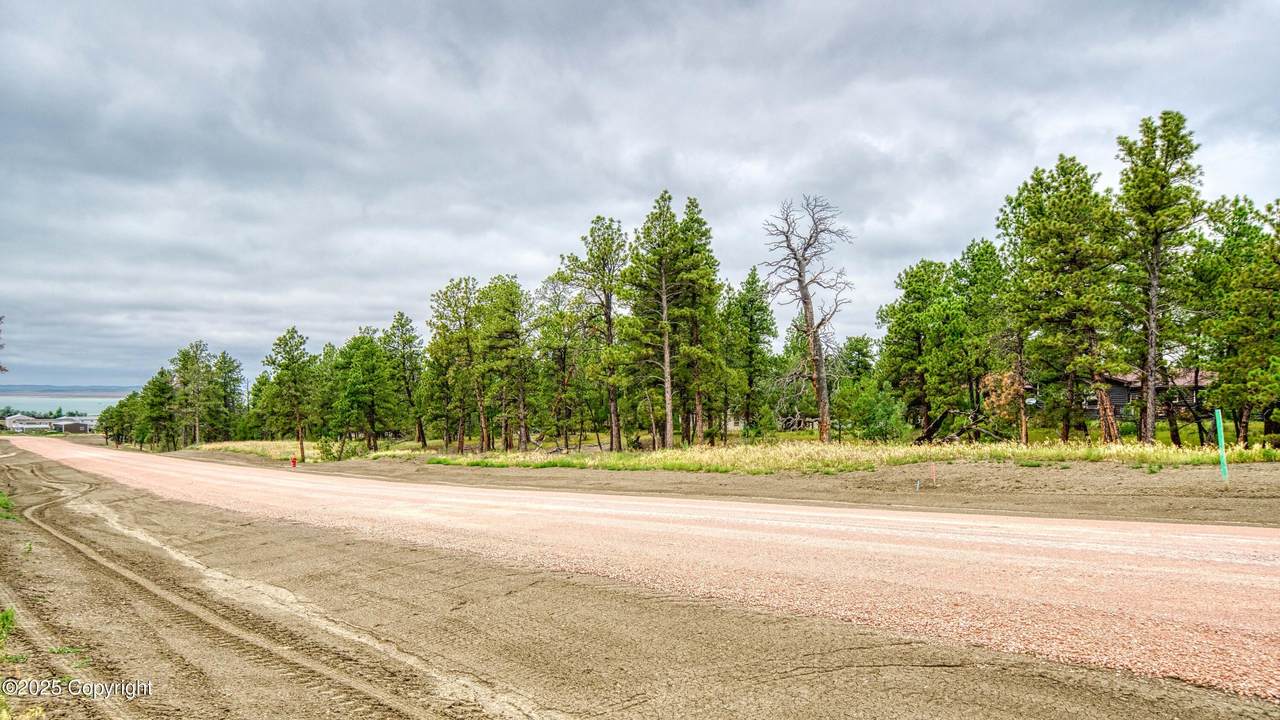 9 Pine Crest Drive - Photo 1