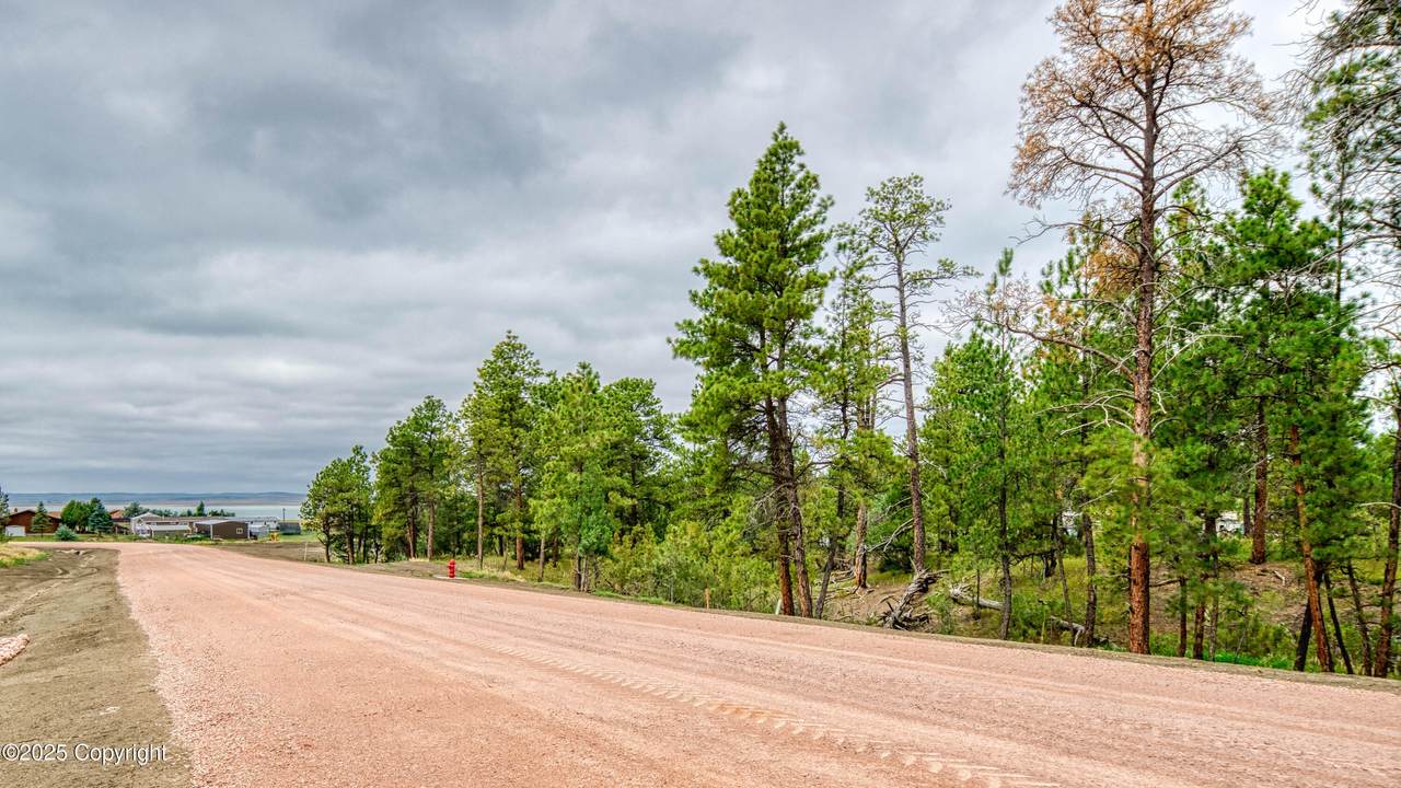 17 Pine Crest Drive - Photo 1