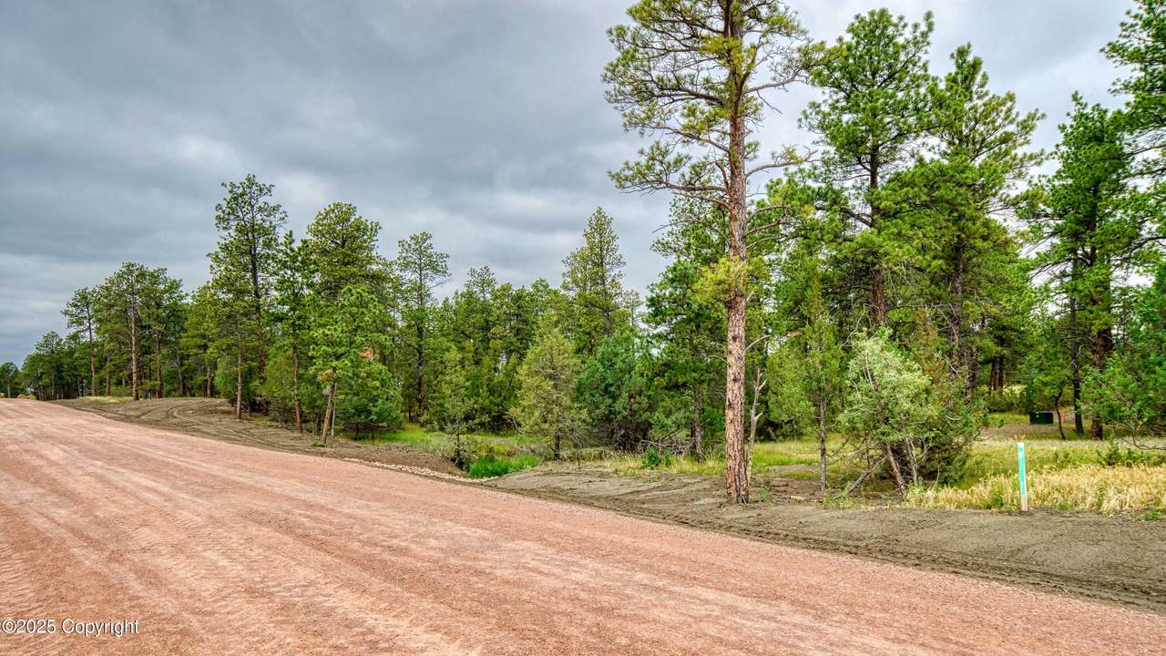 13 Freedom Drive - Photo 1