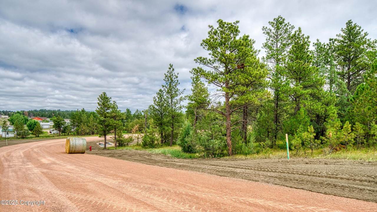 20 Pine Crest Drive - Photo 1