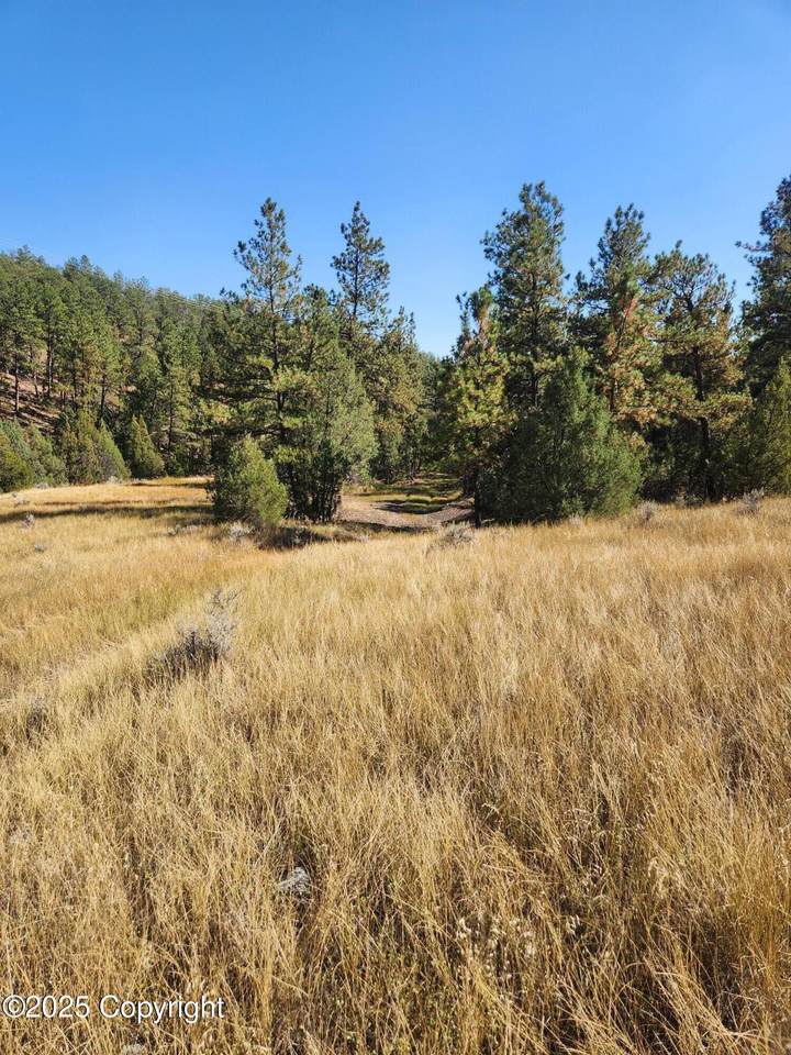 Tbd Salt Creek - Photo 1