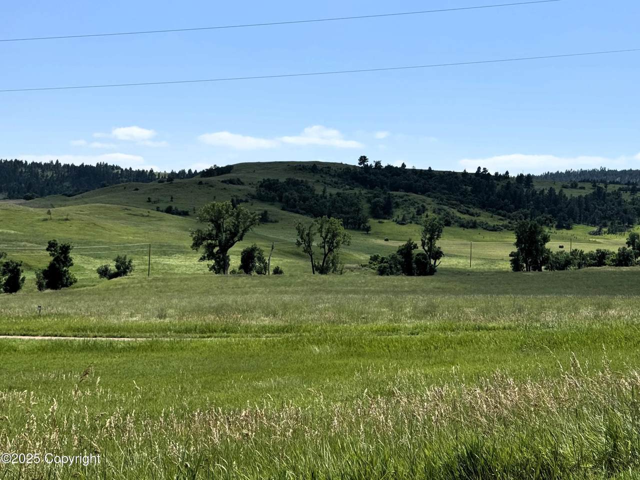 E20 Holmes Road - Photo 1