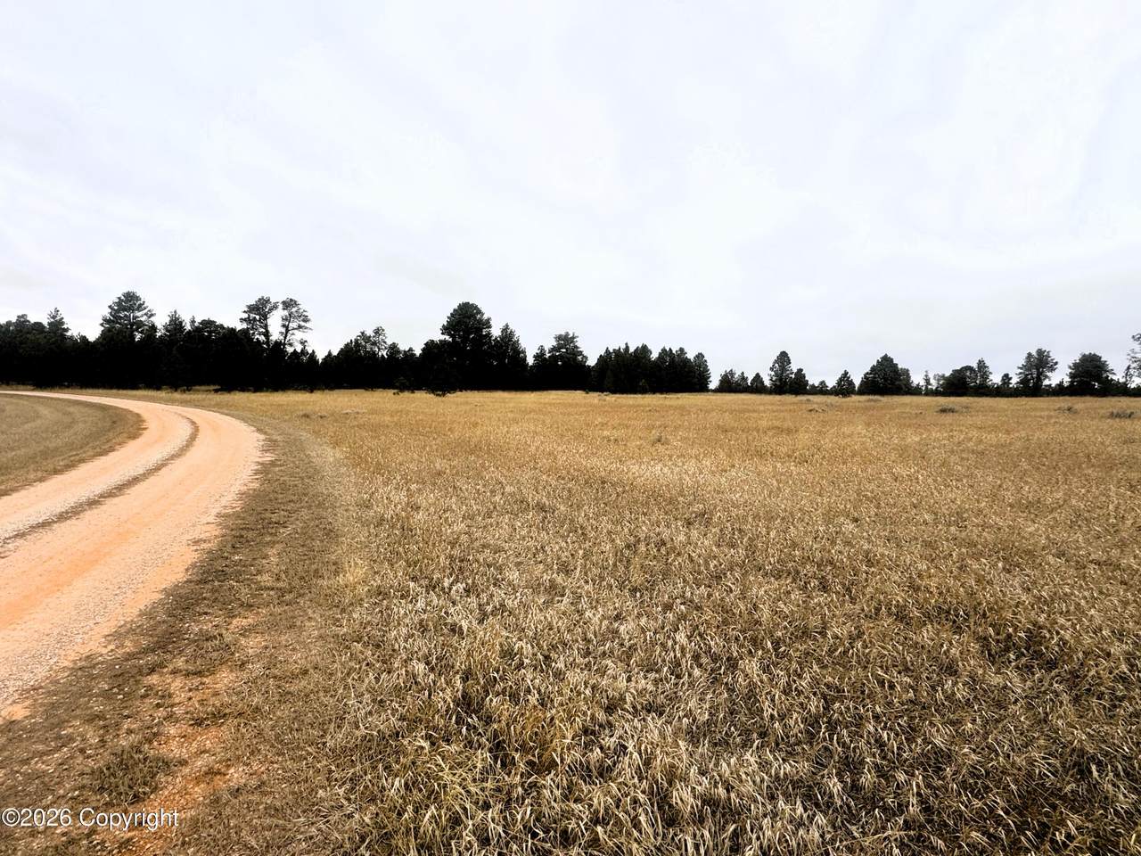 9 Colt Trail - Photo 1