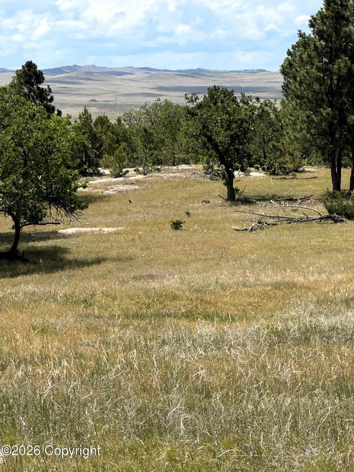 Tract 1 Triple R Bar - Photo 1