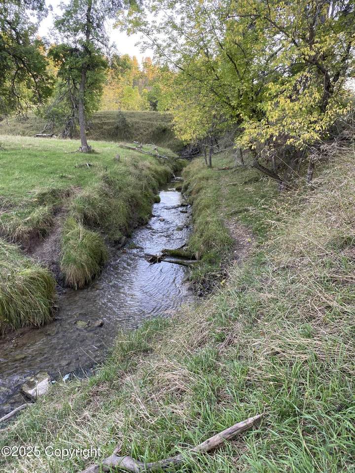 Tract 6 Lone Elk Ranch - Photo 1