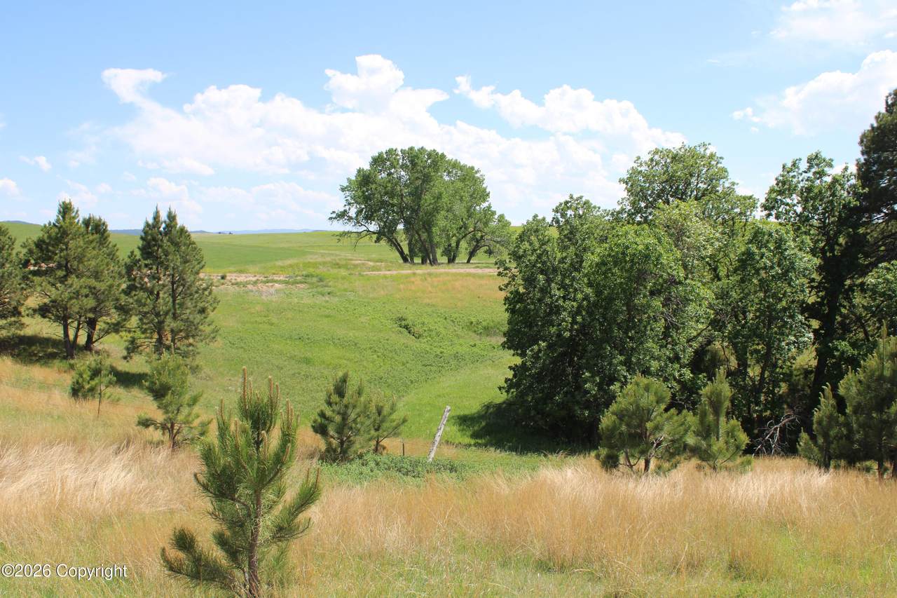 Tract 11 River Rd - Photo 1