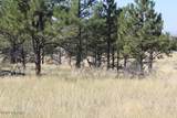 Tbd Oil Creek Road - Photo 13
