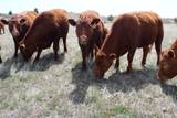 Tbd Oil Creek Road - Photo 24