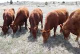 Tbd Oil Creek Road - Photo 25