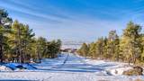 9 Pine Crest Drive - Photo 5