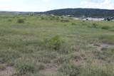 Tract  3 Fairgrounds County Road - Photo 3