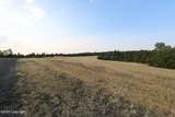 430 Sundown Trl - Photo 7