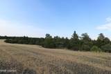 430 Sundown Trl - Photo 9