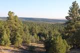 Tract 15 Triple R Bar Ranch - Photo 16