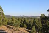 Tract 15 Triple R Bar Ranch - Photo 18