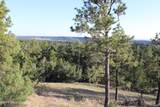 Tract 15 Triple R Bar Ranch - Photo 19