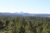 Tract 15 Triple R Bar Ranch - Photo 22