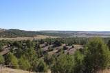 Tract 15 Triple R Bar Ranch - Photo 23