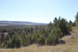 Tract 15 Triple R Bar Ranch - Photo 24