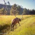 Tbd Derringer Trl - Photo 6
