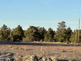 Lot 3 Lone Haven Road - Photo 4