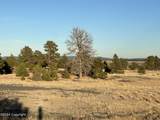 Lot 3 Lone Haven Road - Photo 7