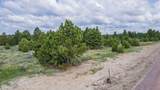 Lot 7 Sunset Ridge Road - Photo 13