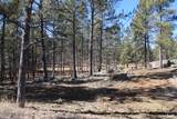 53 Pine Top Dr - Photo 21