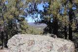 53 Pine Top Dr - Photo 25