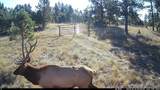 Tbd Red Butte Rd. - Photo 19