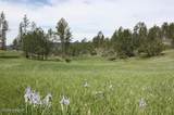 Tbd Red Butte Rd. - Photo 9