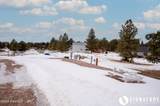 115 Pine Haven Rd - Photo 94