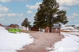 115 Pine Haven Rd - Photo 95