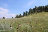 Tract 7 Old Sundance Rd - Photo 9