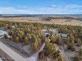 300 Pine Ridge Rd - Photo 46