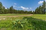 201 Quarry Rd - Photo 63