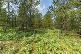 201 Quarry Rd - Photo 66