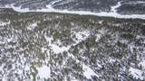 201 Quarry Rd - Photo 79