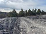 54 Juniper Hills Rd - Photo 4