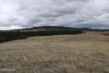 Tract 2 Lone Elk Ranch - Photo 20