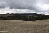 Tract 2 Lone Elk Ranch - Photo 23