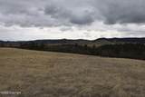 Tract 2 Lone Elk Ranch - Photo 24