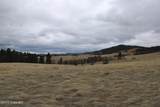 Tract 5 Lone Elk Ranch - Photo 18