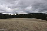 Tract 5 Lone Elk Ranch - Photo 20