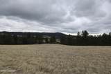 Tract 5 Lone Elk Ranch - Photo 22