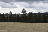 Tract 5 Lone Elk Ranch - Photo 23